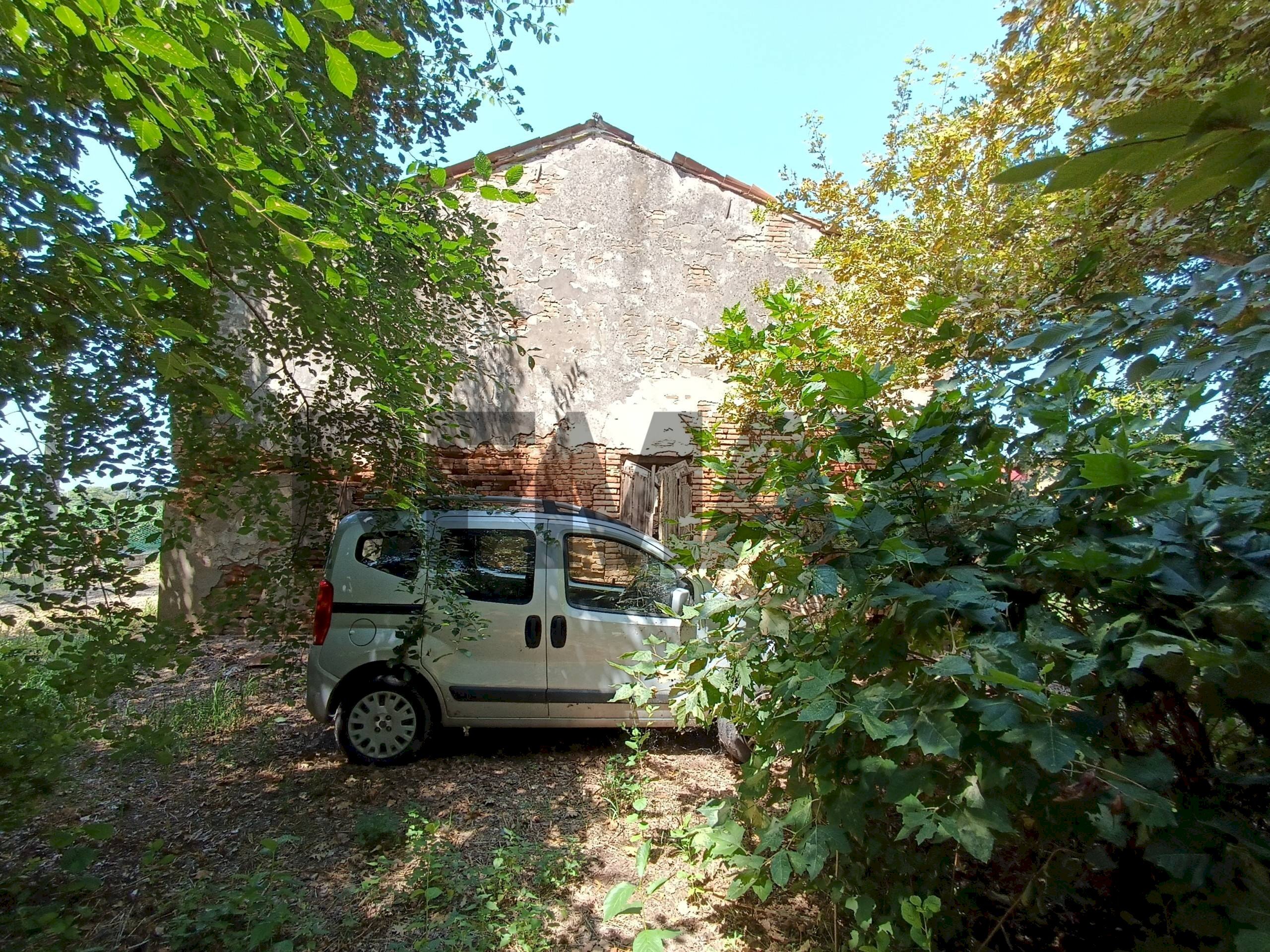 Giardino - Rustico Via Fraterna
1270, Canda - foto 2