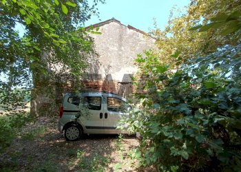 Giardino - Rustico Via Fraterna
 
1270, Canda - foto 2