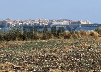 Vista dell\'acqua - Rustic sp 58
 
SNC, Siracusa - photo 12