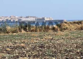 Vista delle montagne - Rustic sp 58
 
SNC, Siracusa - photo 13