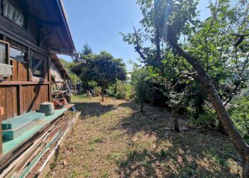 Giardino - Villa via Mogadiscio, 68, Genova (neighborhood Molassana) - photo 9