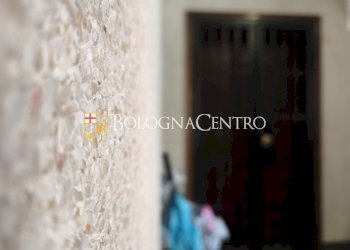 Apartment Bologna (neighborhood Murri) - photo 43