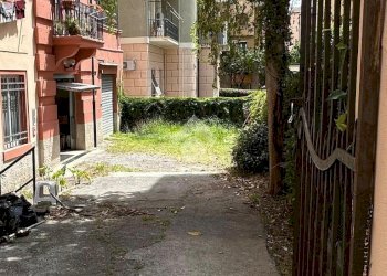 Magazzino viale goffredo franchini, Genova (zona Nervi) - foto 7