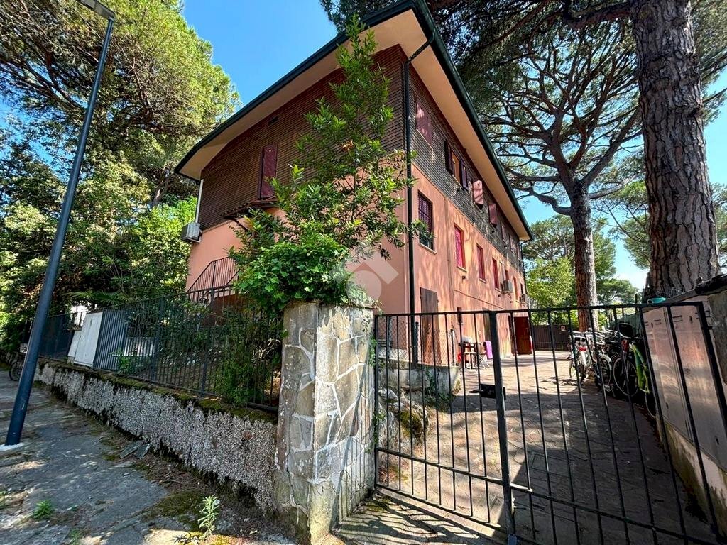 Box Viale dei Pini, Ravenna (neighborhood Marina Romea) - photo 1