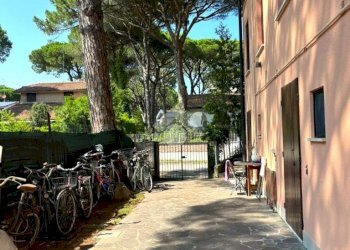 Box Viale dei Pini, Ravenna (neighborhood Marina Romea) - photo 11