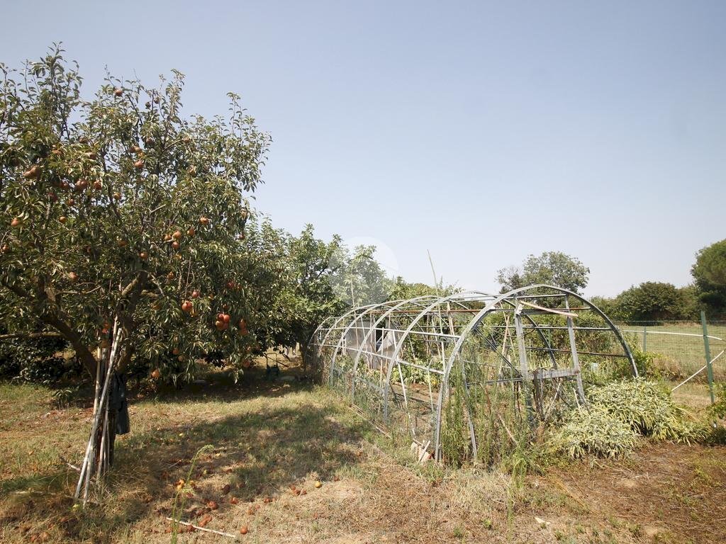 Agricultural land V. Fontana, Garbagnate Milanese - photo 2
