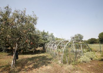 Agricultural land V. Fontana, Garbagnate Milanese - photo 2