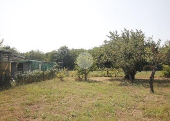 Agricultural land V. Fontana, Garbagnate Milanese - photo 4