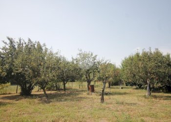 Agricultural land V. Fontana, Garbagnate Milanese - photo 5