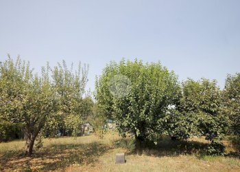Agricultural land V. Fontana, Garbagnate Milanese - photo 7