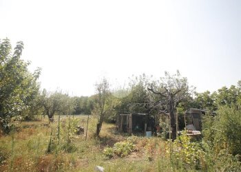 Agricultural land V. Fontana, Garbagnate Milanese - photo 14