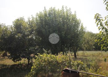 Agricultural land V. Fontana, Garbagnate Milanese - photo 15