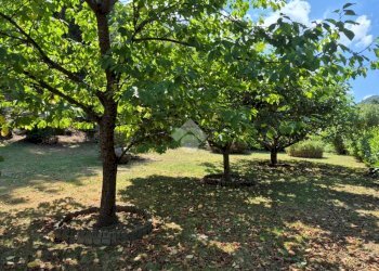 Independent house Via Firpo, Casella - photo 32