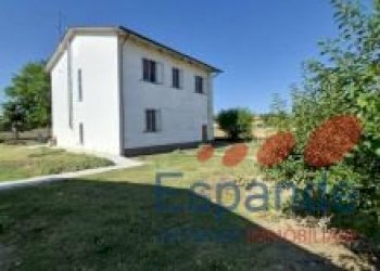 Casa indipendente Bertinoro - foto 4