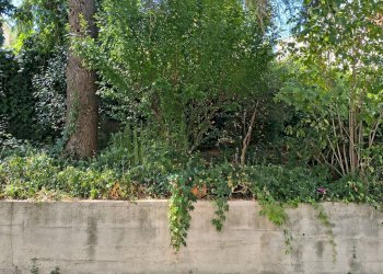 Foto 44 - Appartamento via dante, Monte Urano - foto 44