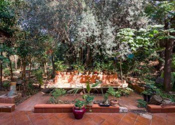 Giardino - Villa Viale Regione Siciliana Nord Ovest
 
7800, Palermo - foto 18