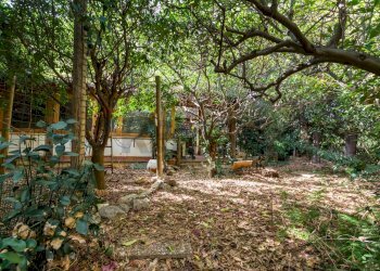 Giardino - Villa Viale Regione Siciliana Nord Ovest
 
7800, Palermo - foto 21