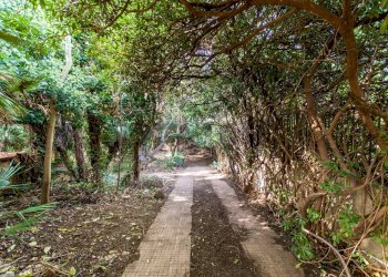 Giardino - Villa Viale Regione Siciliana Nord Ovest
 
7800, Palermo - foto 26