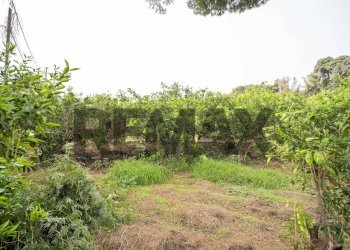 Giardino - Casa indipendente Strada 9 Praiola
 
14, Riposto - foto 30
