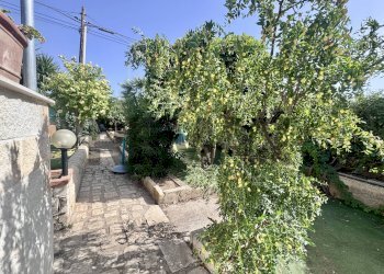 Giardino - Villa VIA DEL MARE
 
SN, Ragusa - foto 9