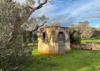 Casa all\'aperto - Villa Contrada pezze d'arena
 
snc, Carovigno - photo 6