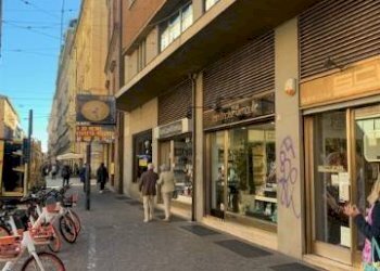 Zona - Negozio via Ugo Bassi, 15, Bologna (zona Centro Storico) - foto 19