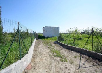Terreno - Building land strada Vicinale Tammali, Matino - photo 5