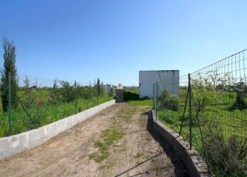 Terreno - Building land strada Vicinale Tammali, Matino - photo 6