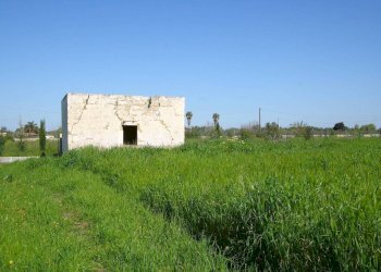 Terreno - Building land strada Vicinale Tammali, Matino - photo 8