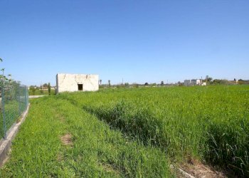Terreno - Building land strada Vicinale Tammali, Matino - photo 9