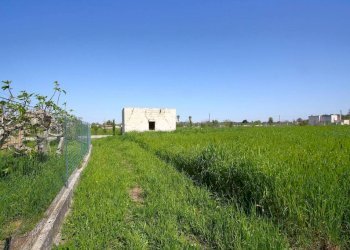 Terreno - Building land strada Vicinale Tammali, Matino - photo 10
