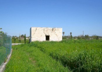 Terreno - Building land strada Vicinale Tammali, Matino - photo 11