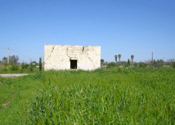 Terreno - Building land strada Vicinale Tammali, Matino - photo 12