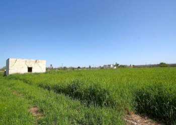 Terreno - Building land strada Vicinale Tammali, Matino - photo 14