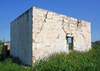 Terreno - Building land strada Vicinale Tammali, Matino - photo 18