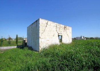 Terreno - Building land strada Vicinale Tammali, Matino - photo 19