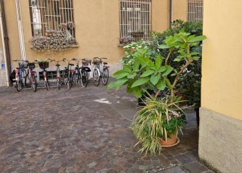 Cortile interno - Two-room apartment viale Monte Nero, Milano - photo 38