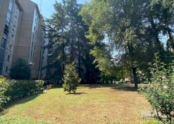 Giardino - Terreno non edificabile via Jan Sibelius, 14, Milano (zona Bicocca) - foto 15