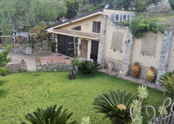 Giardino - Villa via San Francesco, Siderno - foto 15