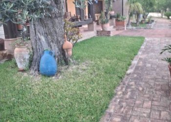 Giardino - Villa via San Francesco, Siderno - foto 17
