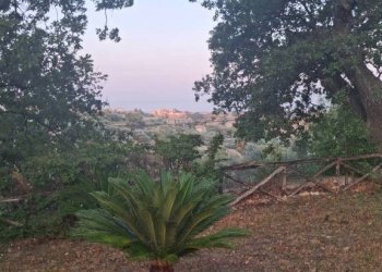 Terreno - Villa via San Francesco, Siderno - foto 25