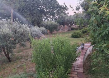 Giardino - Villa via San Francesco, Siderno - foto 29