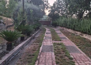 Giardino - Villa via San Francesco, Siderno - foto 32