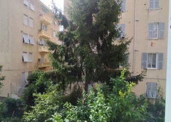Apartment via Piandilucco, Genova (neighborhood Pegli) - photo 28