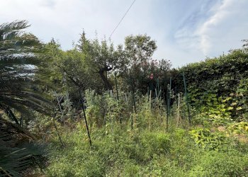 Foto 37 - Appartamento viale Quartara, Genova - foto 37