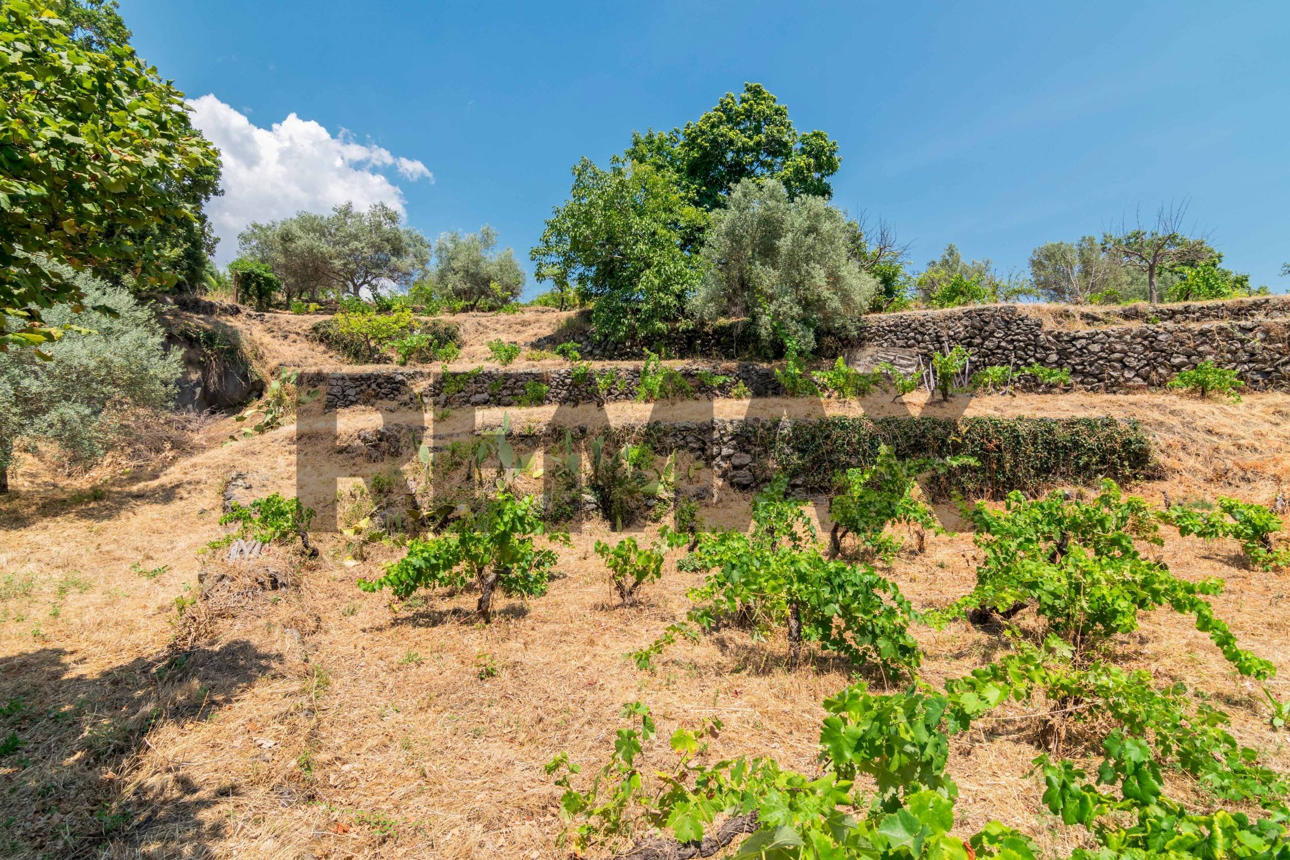 Giardino - Agricultural land Via Ronzini
 
123, Trecastagni - photo 1