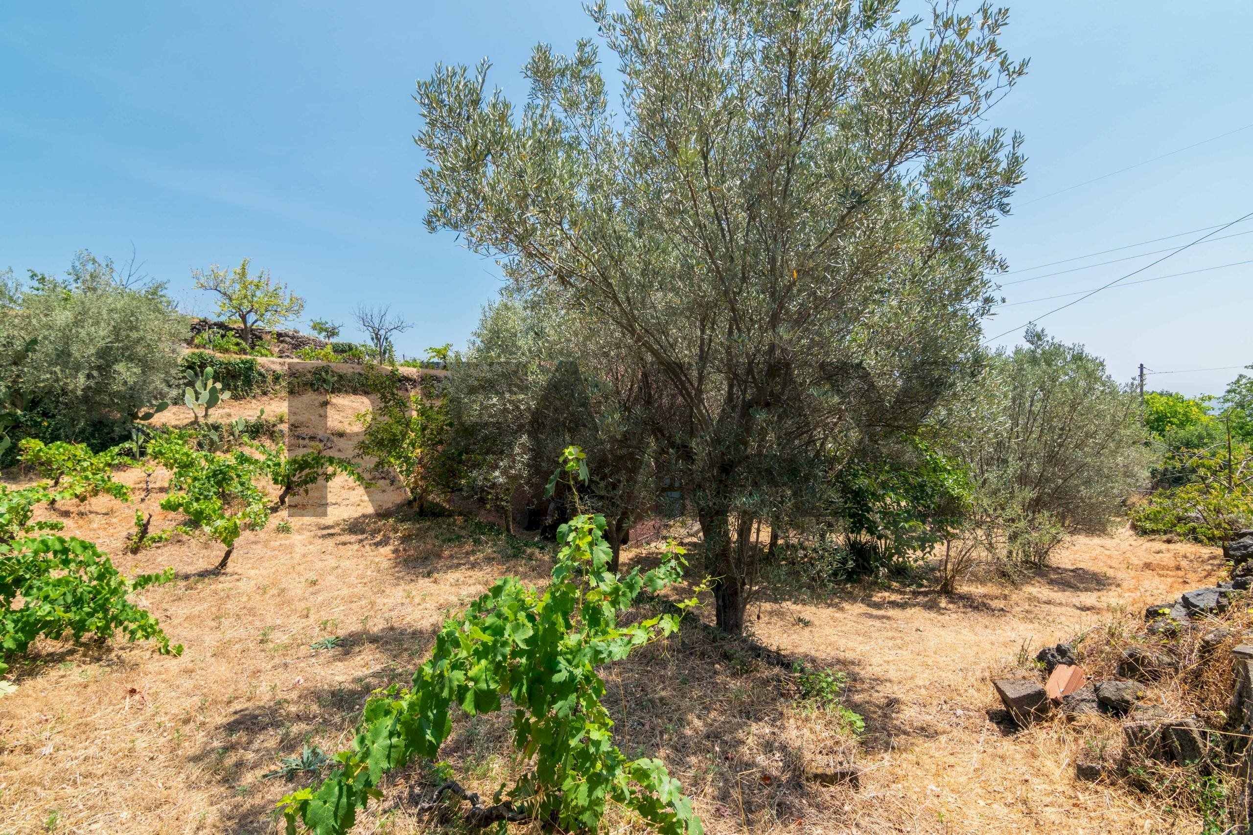 Giardino - Agricultural land Via Ronzini
123, Trecastagni - photo 2