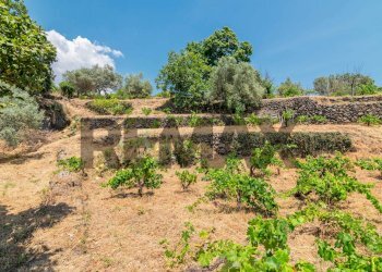 Giardino - Agricultural land Via Ronzini
123, Trecastagni - photo 1