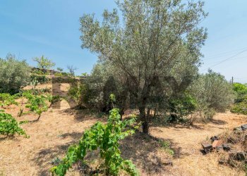 Giardino - Agricultural land Via Ronzini
123, Trecastagni - photo 2
