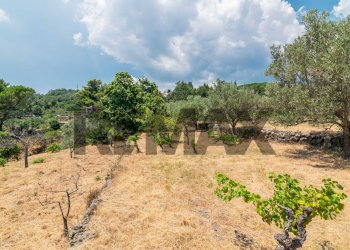 Giardino - Agricultural land Via Ronzini
123, Trecastagni - photo 17